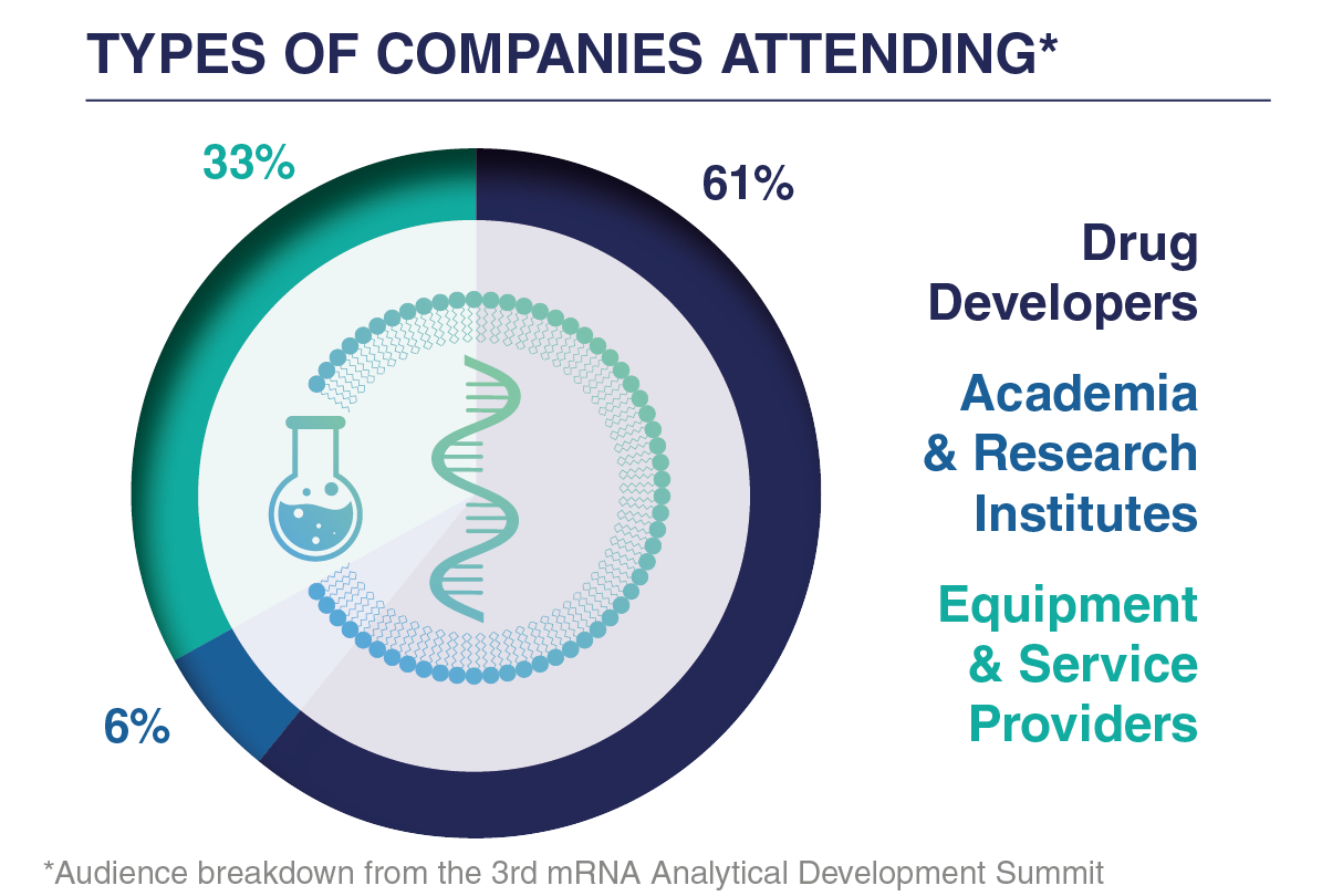 Companies Graph